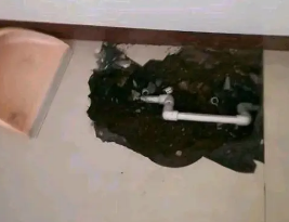 西乡卫生间测漏水多少钱